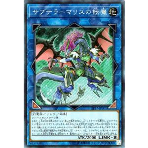 遊戯王オフィシャルカードゲーム デュエルモンスターズ 遊戯王カード