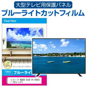 メディアフューチャー 東芝 REGZA 55Z870L [55インチ] 液晶テレビ保護