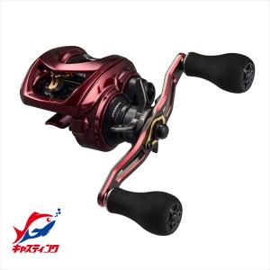 DAIWA（ダイワ） 極鋭カワハギ EX AGS F1 : つり具の銭屋