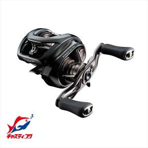 DAIWA（ダイワ） 24スティーズ SV TW 100XHL : つり具の銭屋 - 通販