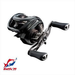 ダイワ スティーズ A2 TW 1000HL / DAIWA STEEZ A II : 大門釣具