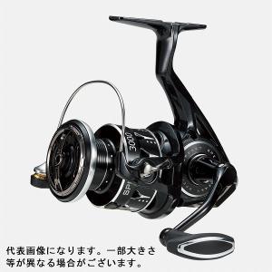 tailwalk（テイルウォーク） 3000S スピーキー 3000S XGX tailwalk