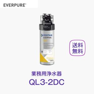 エバーピュア 4DC 浄水器カートリッジ 業務用 : 厨房 キッチンプラス