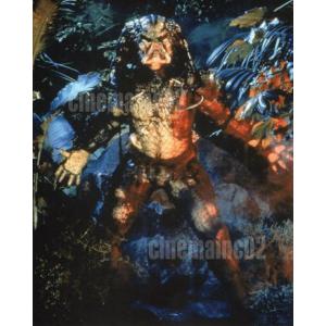 セール！エリザベス・テイラー直筆サイン入りブロマイド写真/海外