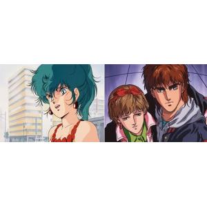 BD メガゾーン23 Blu-ray Archive BOX -30th ANNIVERSARY EDITION