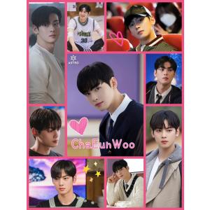 ムンビン ASTRO アストロ ポストカードセット 韓流 グッズ ar072-1