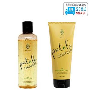 putelo（プテロ） ARシャンプー グランディール 1500ml : maution