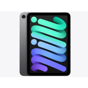 iPad Air 11インチ 第7世代(2025)M3 Wi-Fi 256GB MCA64J/A (パープル