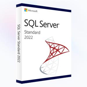 マイクロソフト（Microsoft） Windows Server 2022 Standard 日本語版