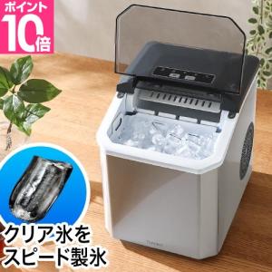 氷砕機 電動式アイスクラッシャー アイスワン クラッシュ 池永鉄工