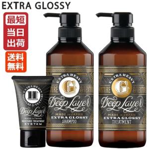 Deep Layer（ディープレイヤー） 3点セット シャンプー ExS 500mL +