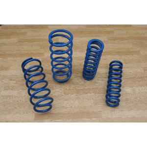 MOTORAGE モトレージ マッドフラップ（150プラド）青 フロント用