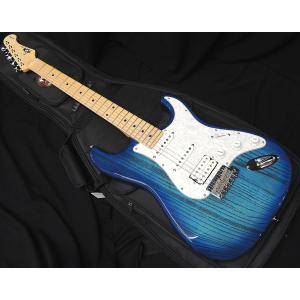 FUJIGEN（フジゲン） FGN FUJIGEN NST12RAL BK P-90タイプ Neo Classic