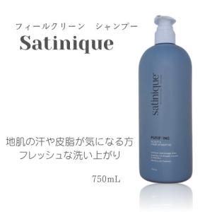 Amway（アムウェイ） サテニーク リペア シャンプー 280ml : BRハウス