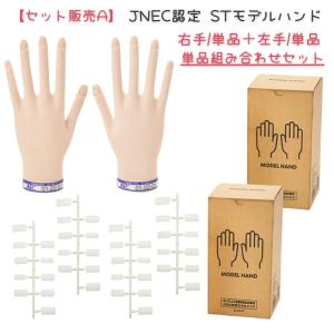 滝川（TAKIGAWA） JNEC認定ハンド用 ネイルチップ 10指 10セット ST