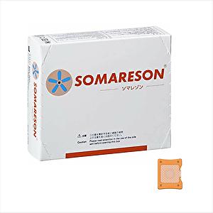 ソマセプト L 100個入り SOMACEPT : ビューティギャラリーこばやし