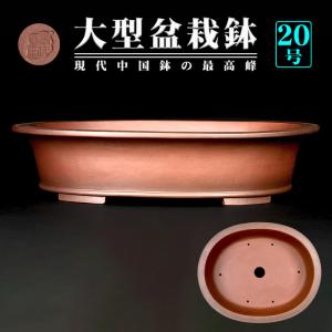 盆栽鉢 烏泥外縁隅切額面長方鉢 植木鉢 中国鉢 張氏製陶 落款あり 18号