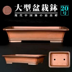 盆栽鉢 植木鉢 バーゲン 「烏泥外縁下紐丸鉢」 陶器 古渡 中国宜興 20