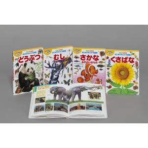 講談社の動く図鑑 MOVE mini 既刊13巻セット : 六本木 蔦屋書店 ヤフー