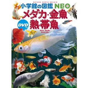 小学館の図鑑 NEO 〔新版〕 植物 DVDつき : 三省堂書店 Yahoo