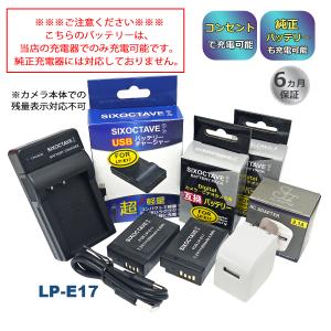 USB充電器 と バッテリー2個セット DC163 Canon キヤノン LP-E17 互換