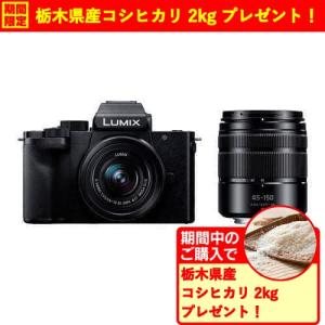 LUMIX 公式店 パナソニック デジタル一眼カメラ DC-G100DW ダブル