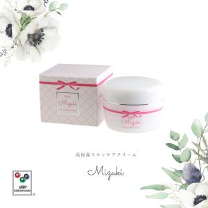 TBC epiplus エピプラス CSモイスチュアシートDX 2枚入り×20袋（ジェル