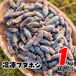 冷凍コオロギ 1kg 約3300匹 1.5-2cm コオロギ ヨーロッパイエコオロギ