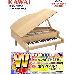KAWAI Wダブル特典とミニピアノ専用曲集2冊セットB カワイ ミニピアノ