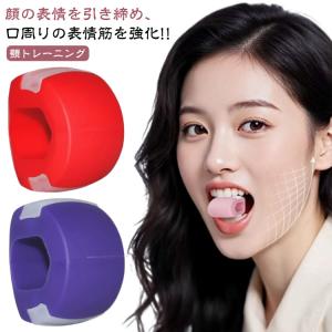 ReFa（リファ） 【本日限定！特別価格 残り1点・新品・MTG国内正規品