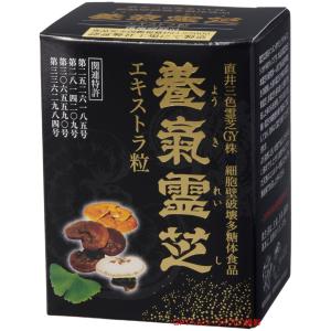 ☆お得なセット販売中☆ MENARD/メナード 霊芝 100粒 期限2027年4月