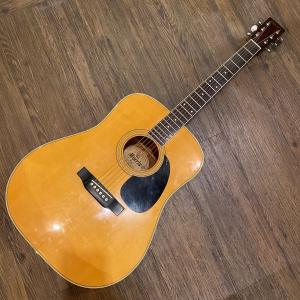 東海 Tokai Cat's Eyes CE-300 Acoustic Guitar アコースティック