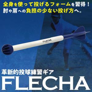 FLECHA フレーチャ 投球練習ギア : スポーツショップまなべ - 通販