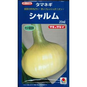 ねぎ 羽緑一本太葱ペレット種子 5000粒 （株）トーホク : グリーン