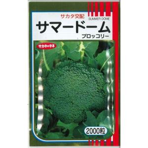 サカタのタネ（サカタノタネ） ブロッコリー おはよう 2000粒 （株