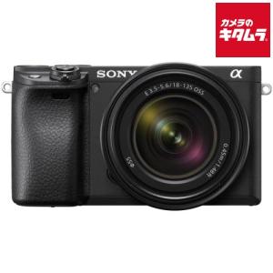 α（ソニー） ソニー SONY α6600 ILCE-6600M レンズキット ブラック