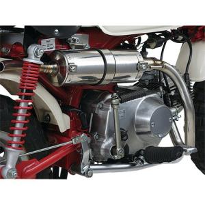 DAYTONA（デイトナ） 【2月28日出荷】デイトナ モンキー マフラー