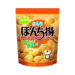 ぼんち ぼんち揚 チャック付 100g×12袋入｜ 送料別 : 味園サポート