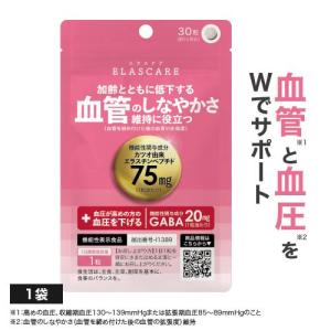 2袋セット 】 ビセラ BISERA 11.25g ( 375mg×30粒 ) ヘルスアップ