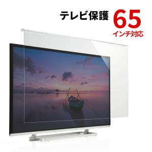 SANWA SUPPLY（サンワサプライ） テレビ保護パネル 60インチ対応 液晶