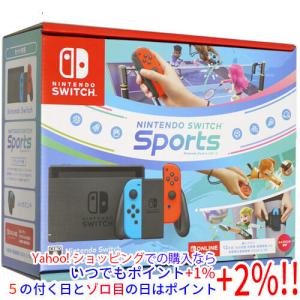 Nintendo Switch Lite(ニンテンドースイッチライト) ハイラル