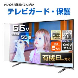 テレビ保護パネル 55型 55インチ クリアパネル テレビガード テレビ