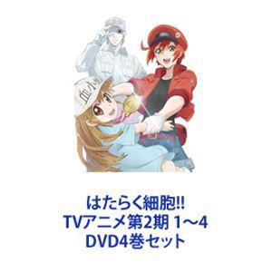 はたらく細胞!! TVアニメ第2期 1〜4 [DVD4巻セット] : ぐるぐる王国DS