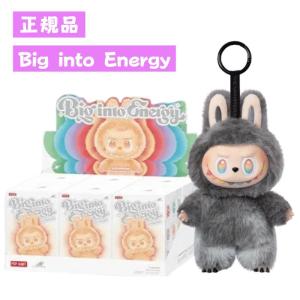 POP MART（ポップマート） ラブブ 専用透明ケース THE MONSTERS Big