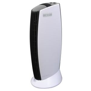 アントレックス イオニックブリーズグランデ ホワイトグレー IU867 WG