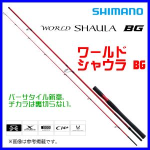 シマノ（SHIMANO） 21 ワールドシャウラ BG 21203R-3 【大型商品2