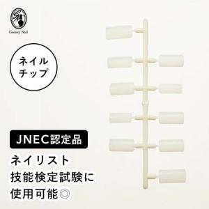 JNEC認定 STモデルハンド 3点セット ネイルチップ/ルース