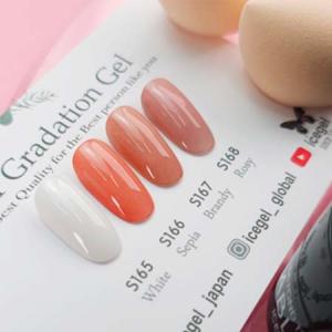 INITY アイニティ ハイエンドカラー ニュアンスコレクション 全10色 3g