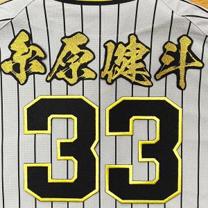 ☆送料無料☆阪神 タイガース 原口文仁 背番号 & 毛筆 応援 刺繍