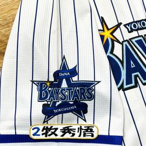 ☆送料無料☆横浜 DeNA ベイスターズ 佐野恵太 応援歌 青 刺繍